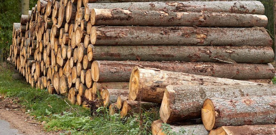 Amoncellement de billots sur le long d'une terre à Sherbrooke. Le bois servira à faire du bois de Chauffage pour les résidents de Sherbrooke.